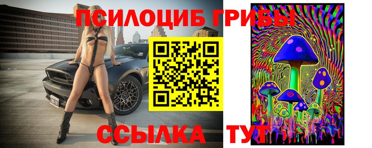 Чистополь  Галлюциногенные грибы мицелий  Вход с VPN 