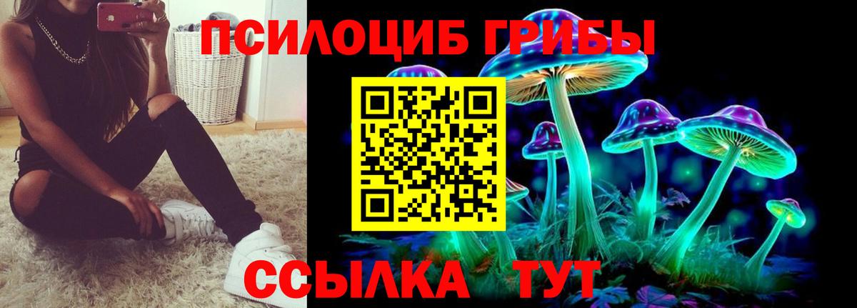 Псилоцибиновые грибы MAGIC MUSHROOMS Чистополь
